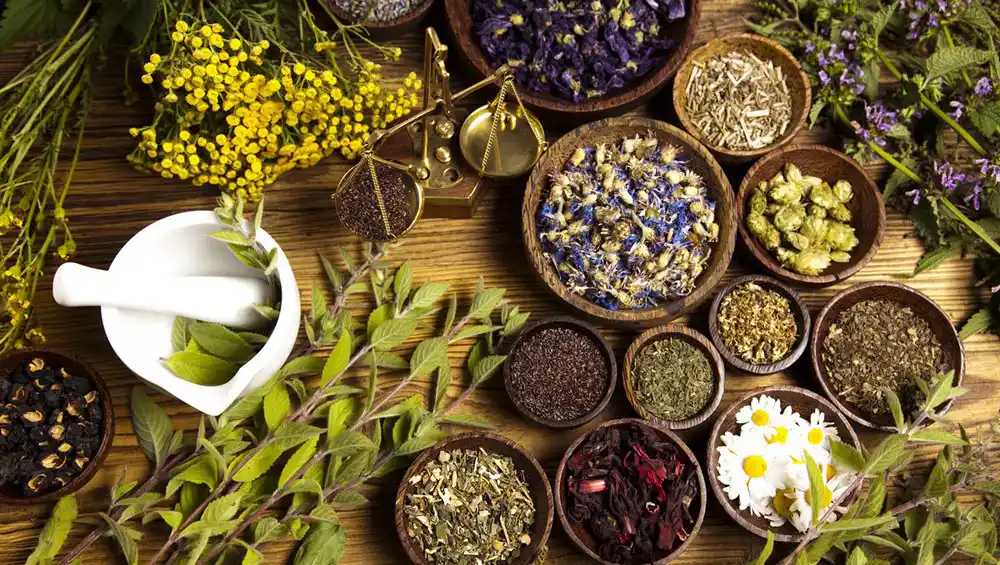 Herbal / Traditional Plant Medicine