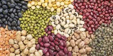 Legumes 